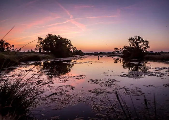 Le Gouvernail Saint-Hilaire-de-Riez